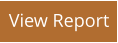 View Report